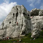 Trafo Base Camp